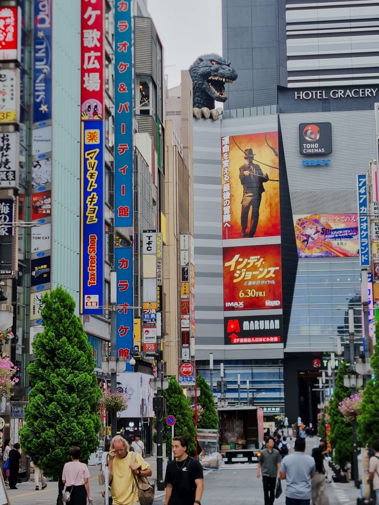 Sfaturi de calatorie pentru Japonia - itinerar, viza, transport si buget